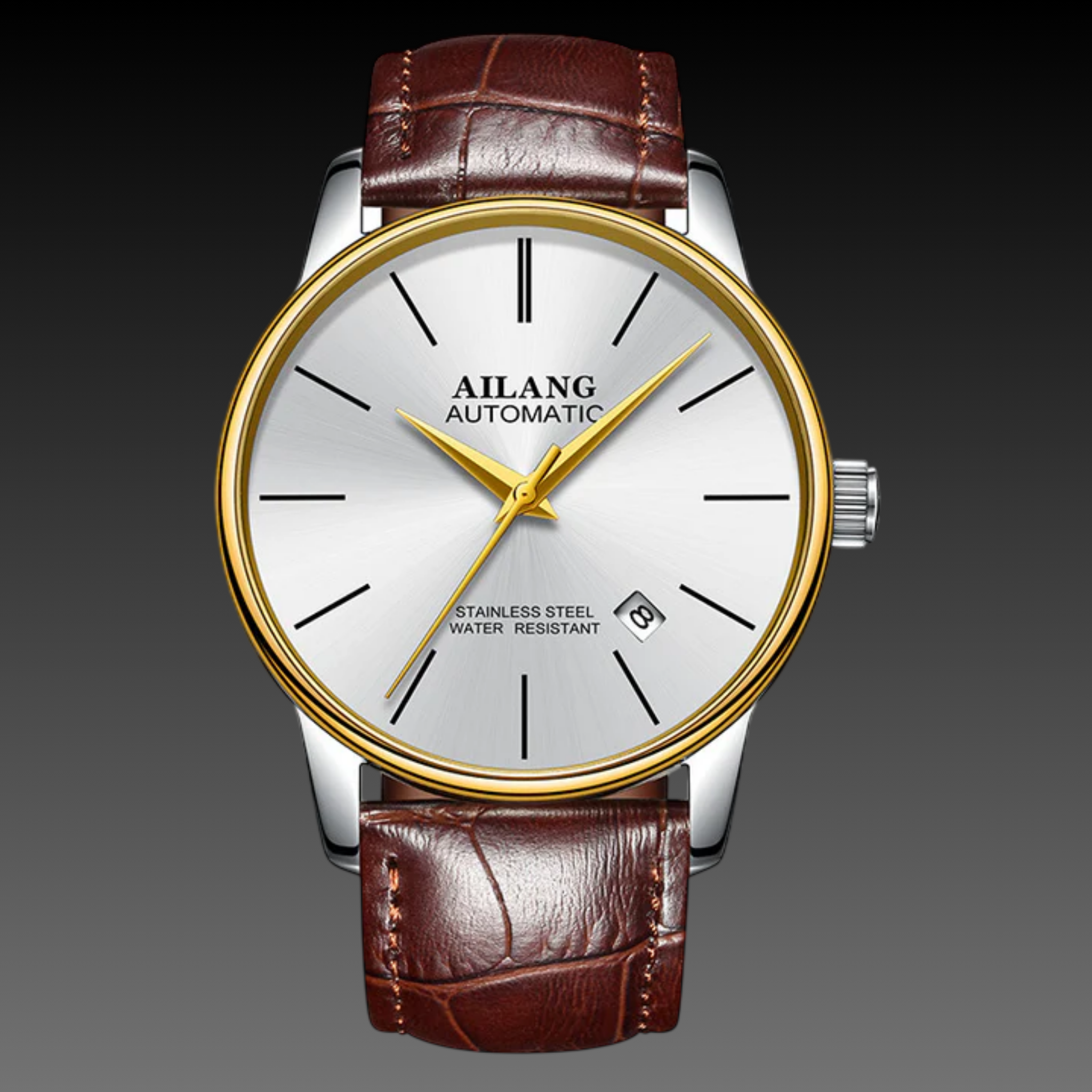 Men's Executive Automatic Watch | Sapphire Crystal | Two-Tone Luxury Stainless Steel